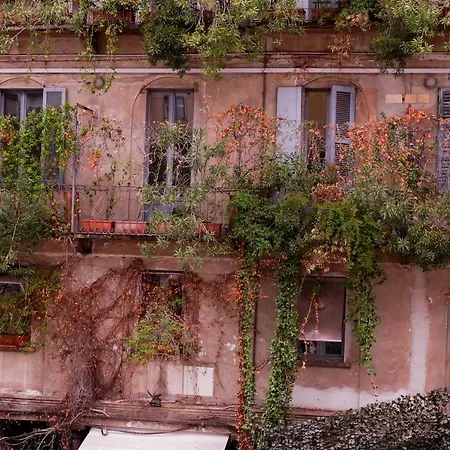 Il Bosco Di Nora *